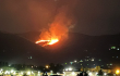 Ettari di verde a fuoco, domato l’incendio