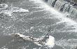 La schiuma bianca torna nel Fiume Liri 