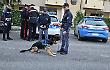 polizia e carabinieri unità cinofile