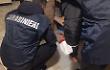 Avevano un'impresa dello spaccio: eseguite dai carabinieri 3 misure cautelari