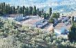 Colpi di fucile nei campi vicino al cimitero: allarmati i cittadini
