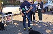 Grande successo per la manifestazione “Cani in Città”