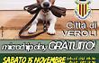 Torna a Veroli il "Microchip Day gratuito" per i cani