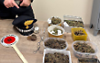 Hashish e marijuana in casa. Denunciato