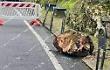 Cade un masso da una parete rocciosa: finisce su un'auto