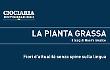 Dalle stelle al pignoramento: torna in stalla, Vacchi