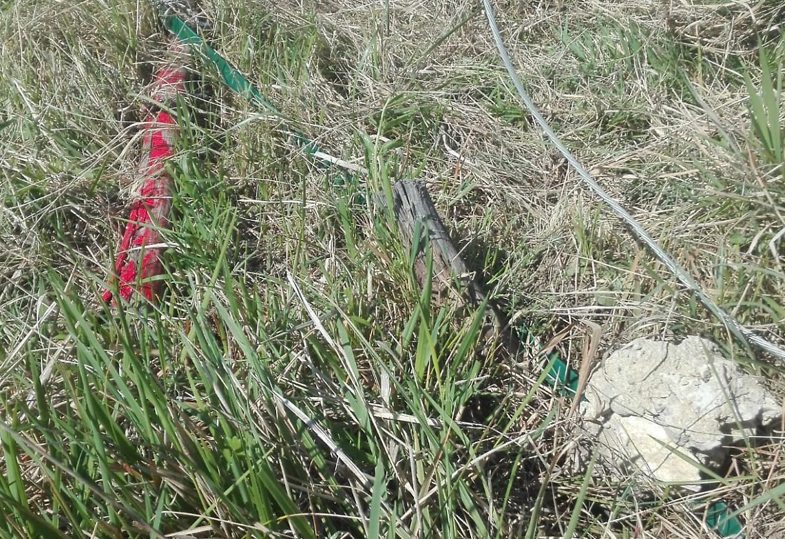 Terreno nel mirino dei vandali, scatta la denuncia