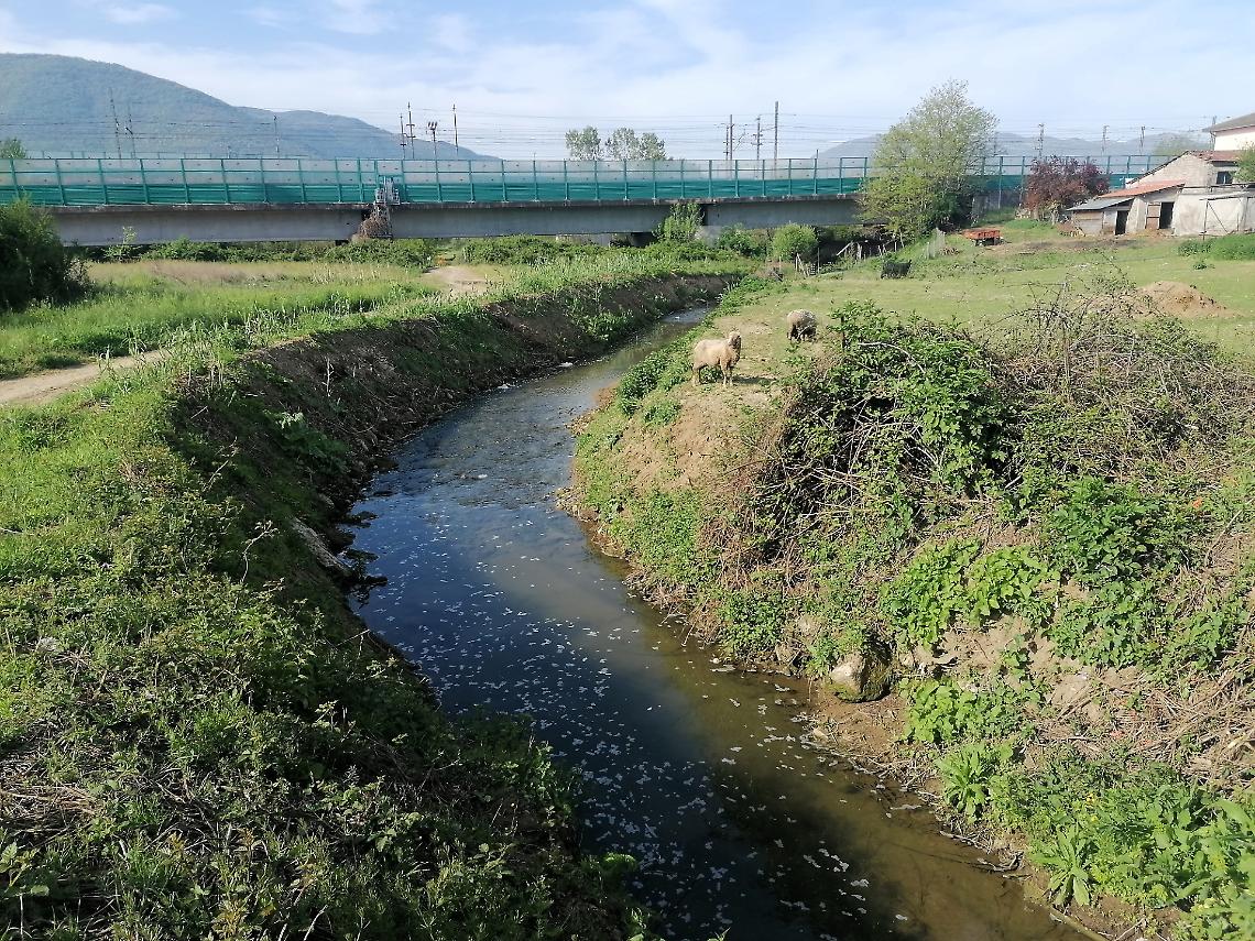 Ancora schiuma nel rio dei veleni.  Si teme uno scarico abusivo di sostanze tossiche  