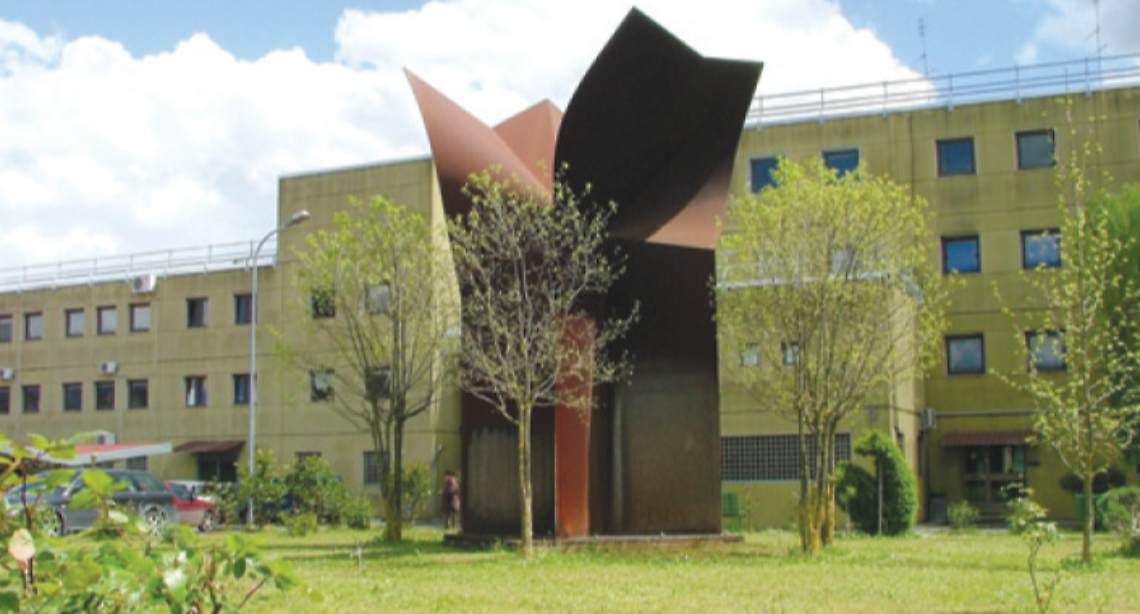 carcere frosinone