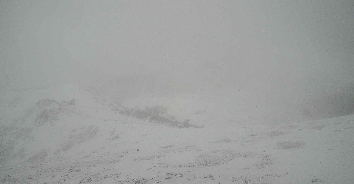 neve campo staffi