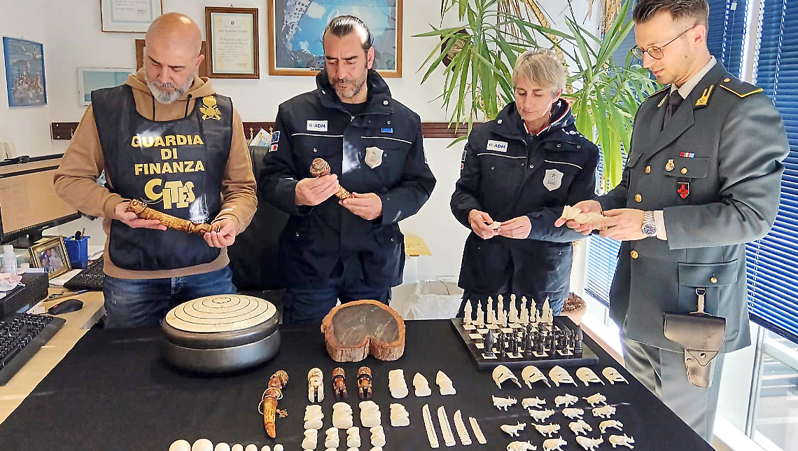 Ciociaria capitale del falso