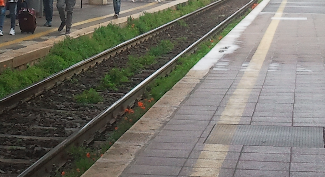 treno frosinone