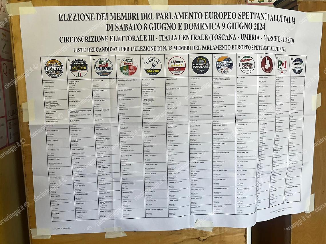 elezioni