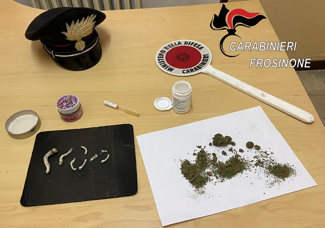 Marijuana e funghi allucinogeni, sequestro  e segnalazione da parte dei carabinieri