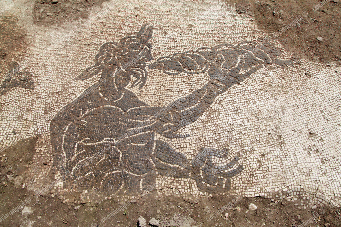  Uno dei mosaici delle terme scoperte vicino al fiume Cosa