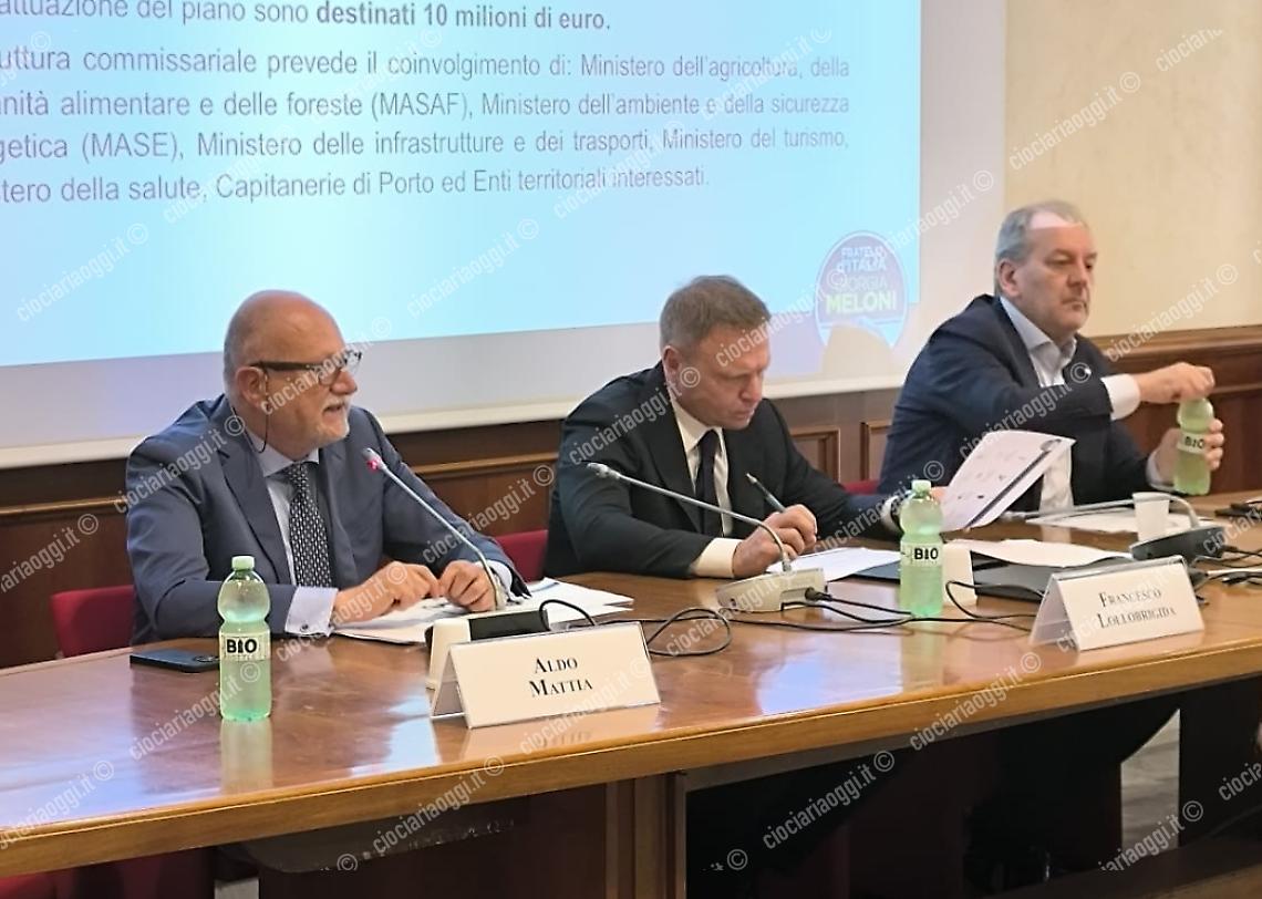 Un confronto per il futuro dell'agricoltura