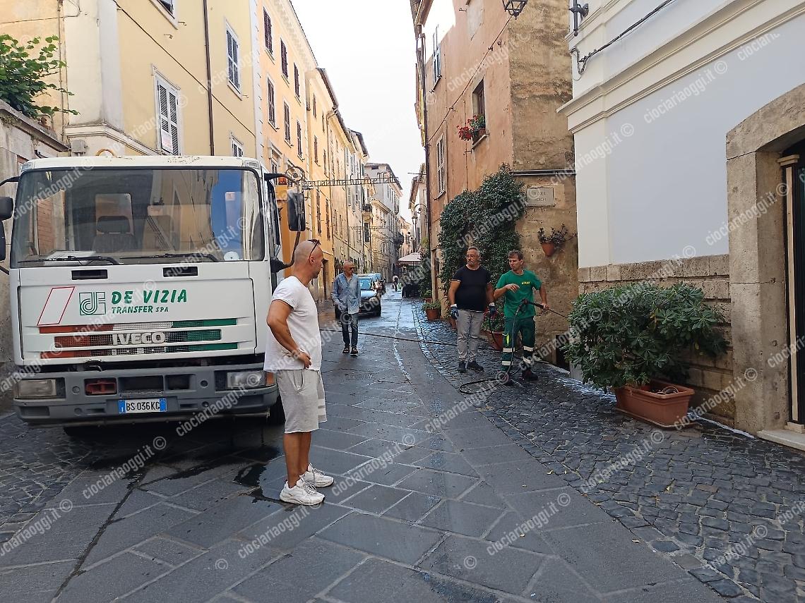 De vizia anagni