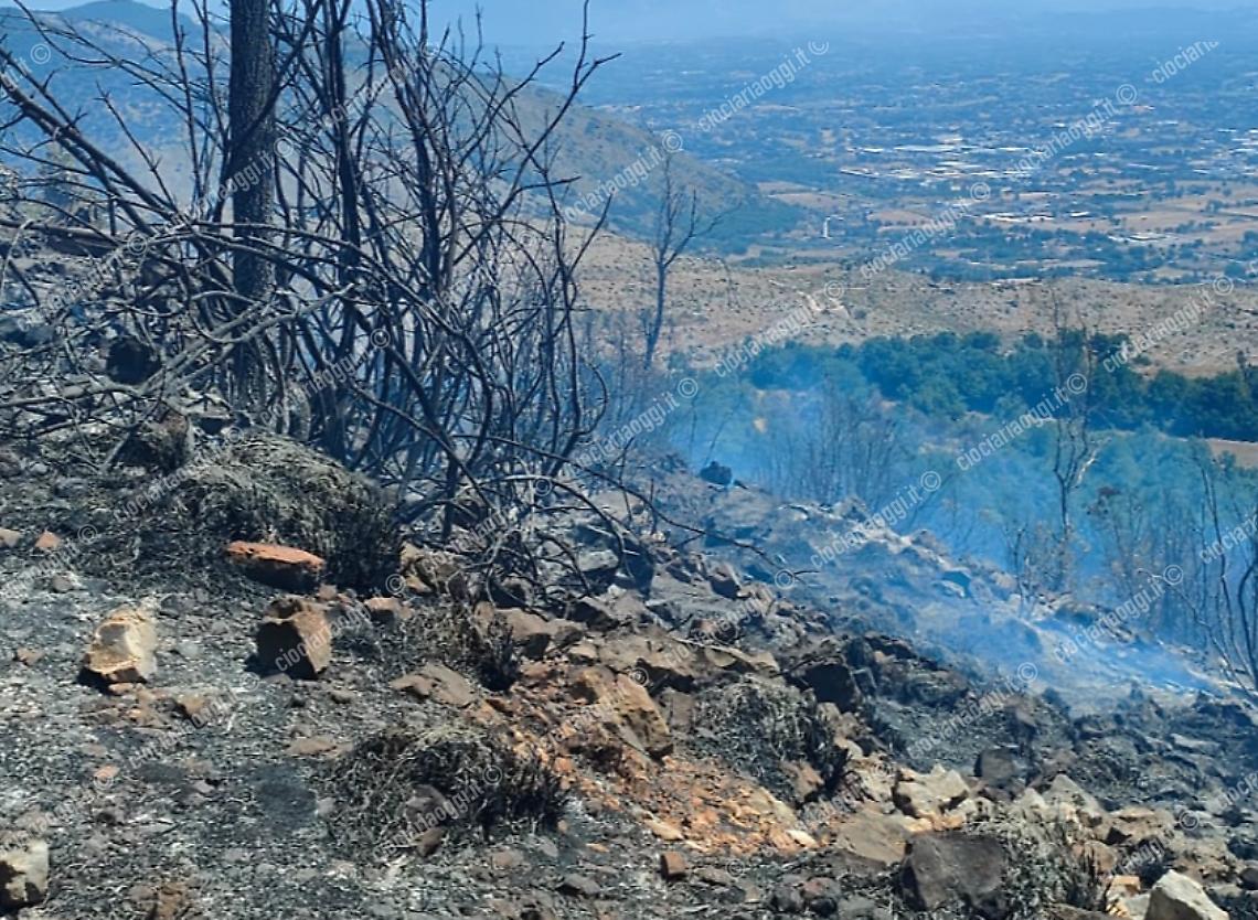 incendio piedimonte san germano 