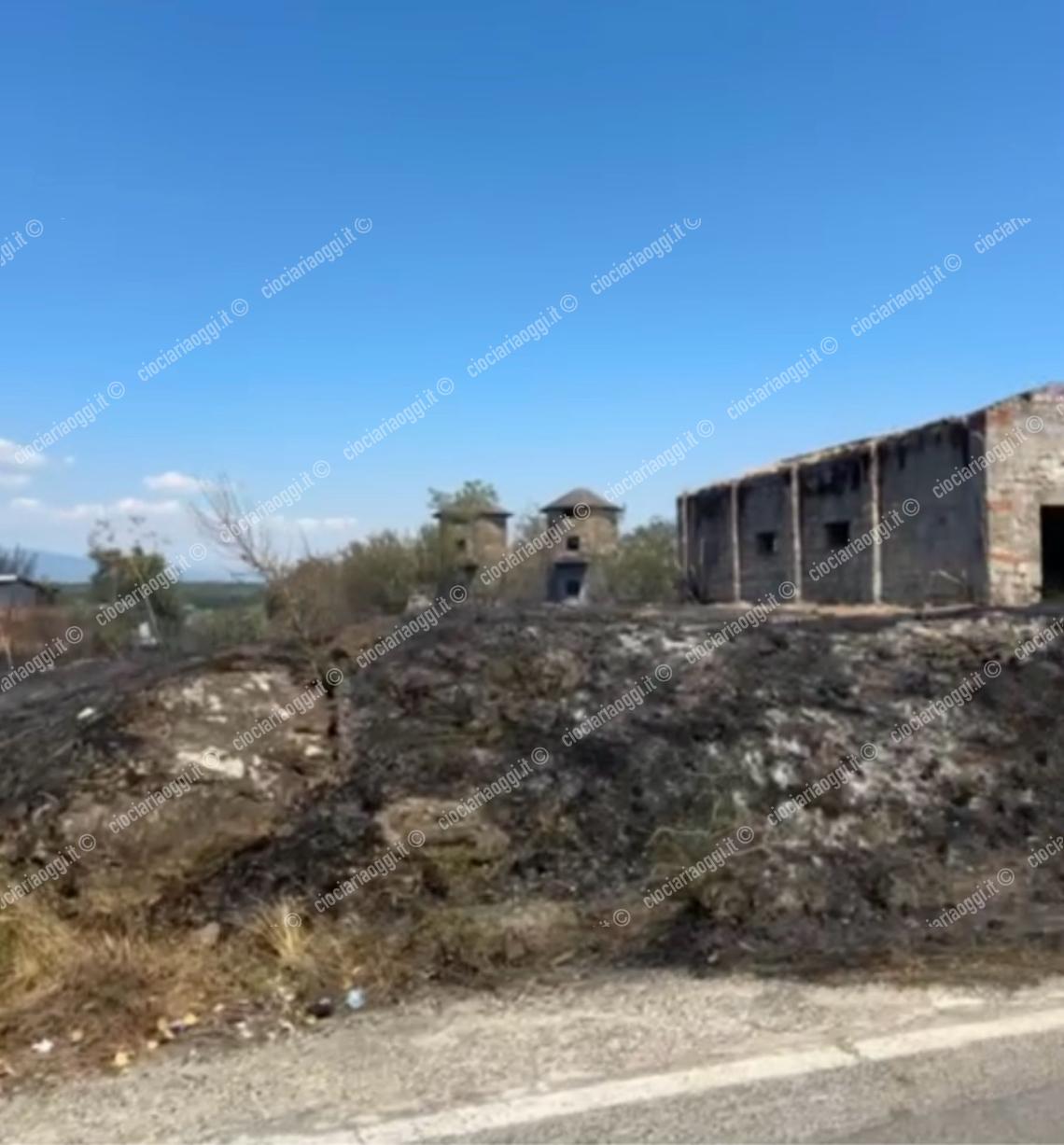 Incendio vicino a uno stabilimento, intervento tempestivo