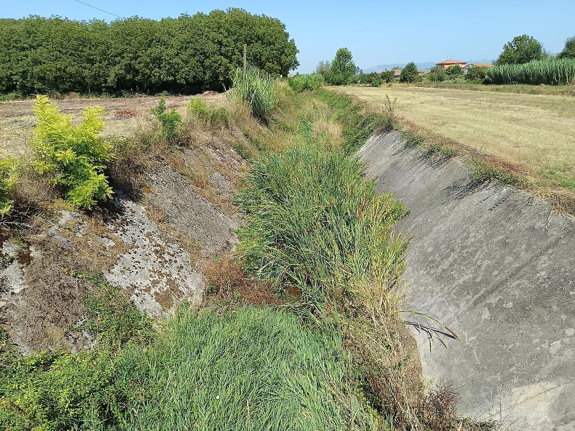 Canali intasati dalle erbacce. Niente acqua per l’irrigazione e i servizi antincendio