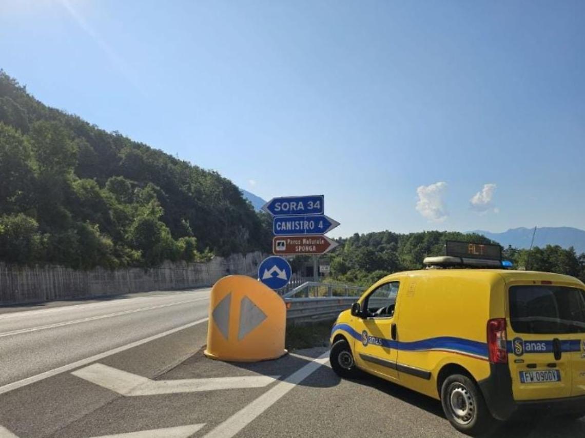 Orso bruno investito sulla superstrada Sora-Avezzano