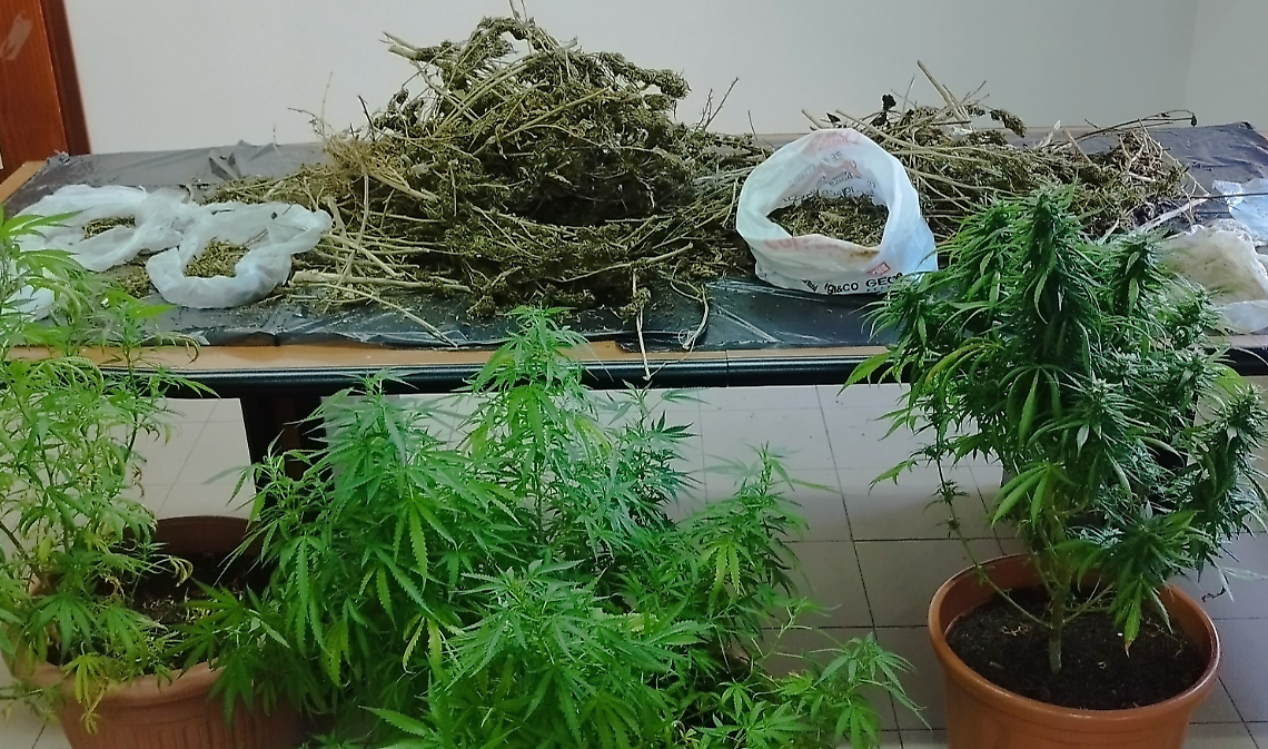 Coltivava marijuana sul balcone. Arrestato