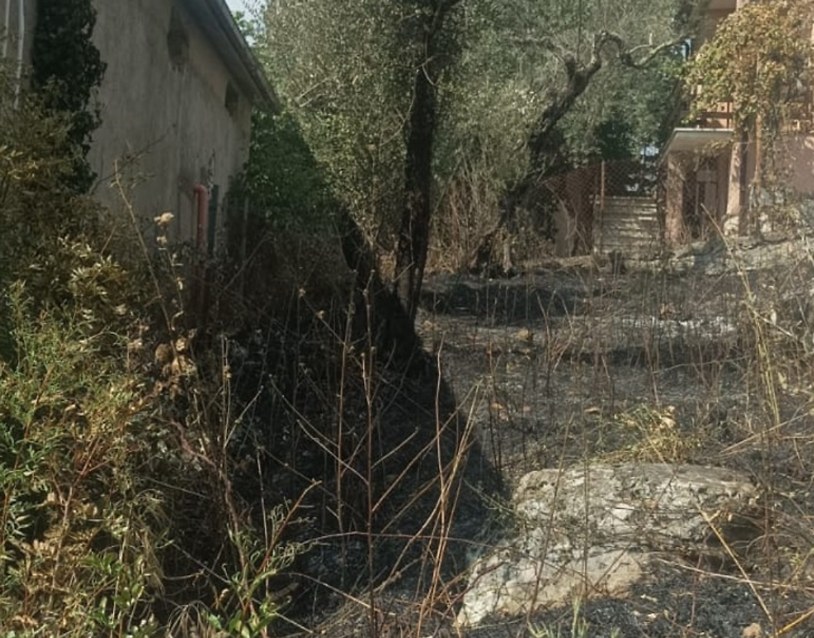Cinquanta ettari di verde a fuoco. Identificato il responsabile