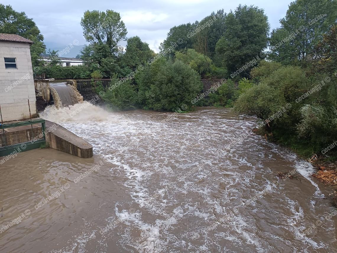 Liquami nel fiume Sacco. Si tratterebbe di reflui industriali