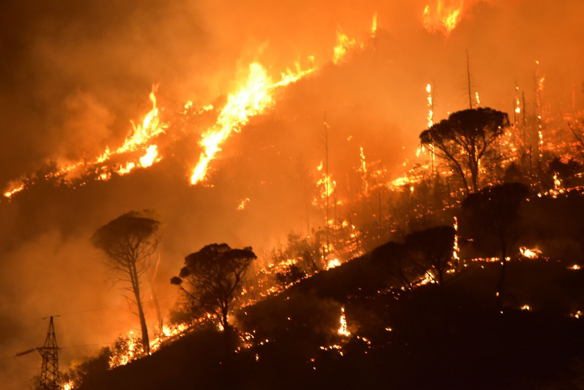 Fiamme a pochi metri dal sito di stoccaggio di rifiuti