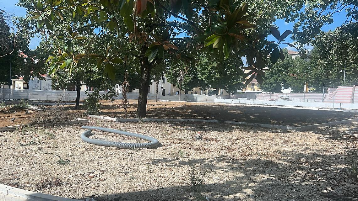 Scalo: arrivano gli alberi per la nuova piazza 