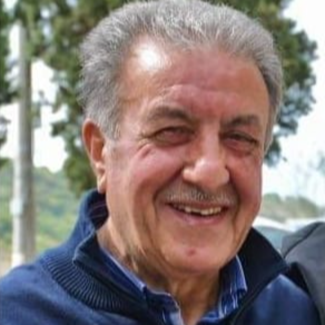 Dervino campoli