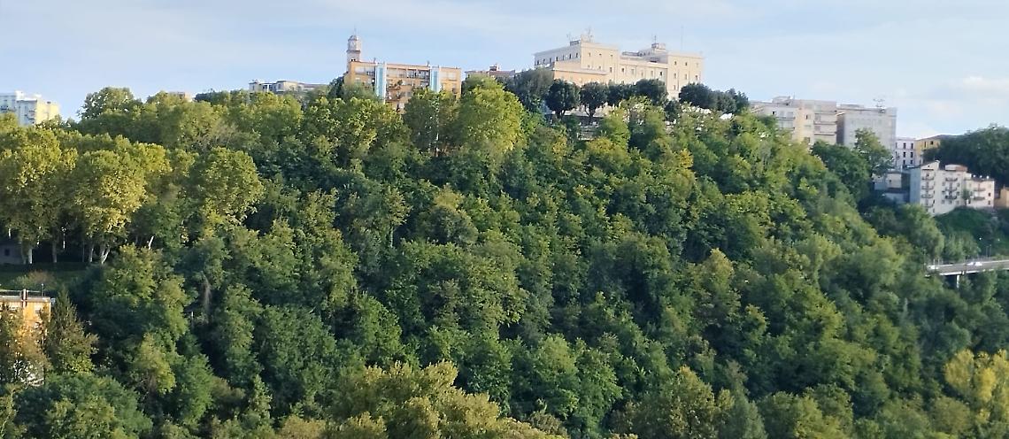 Città naturali, Frosinone a metà classifica