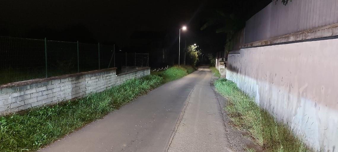 Uccisa dal montone, catturato l’animale