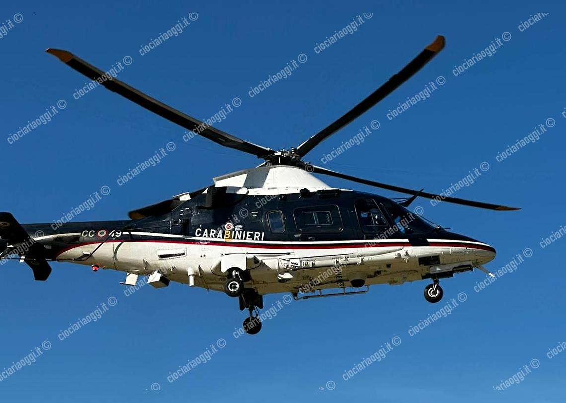 Blitz all'alba: i carabinieri in azione con unità cinofile alla ricerca di droga e armi. Sequestrati stupefacenti