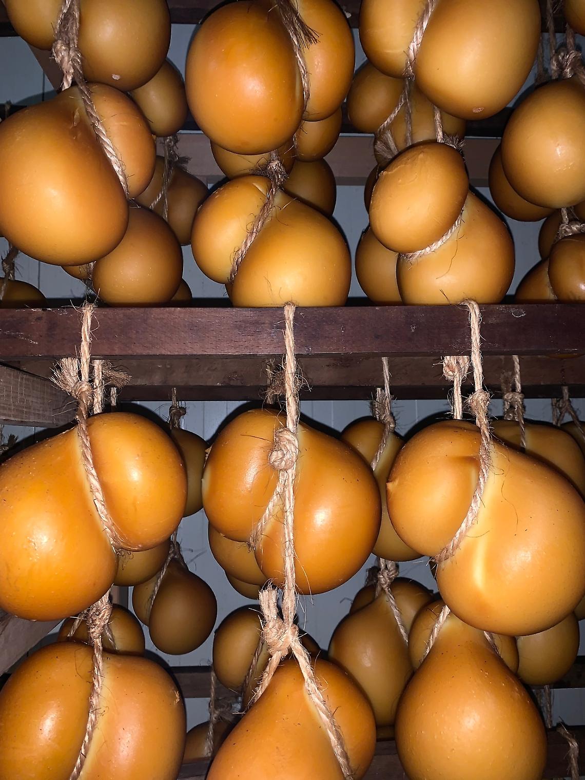 Marchio De.Co. per il Gran Cacio di Morolo, importante riconoscimento per l'eccellenza ciociara