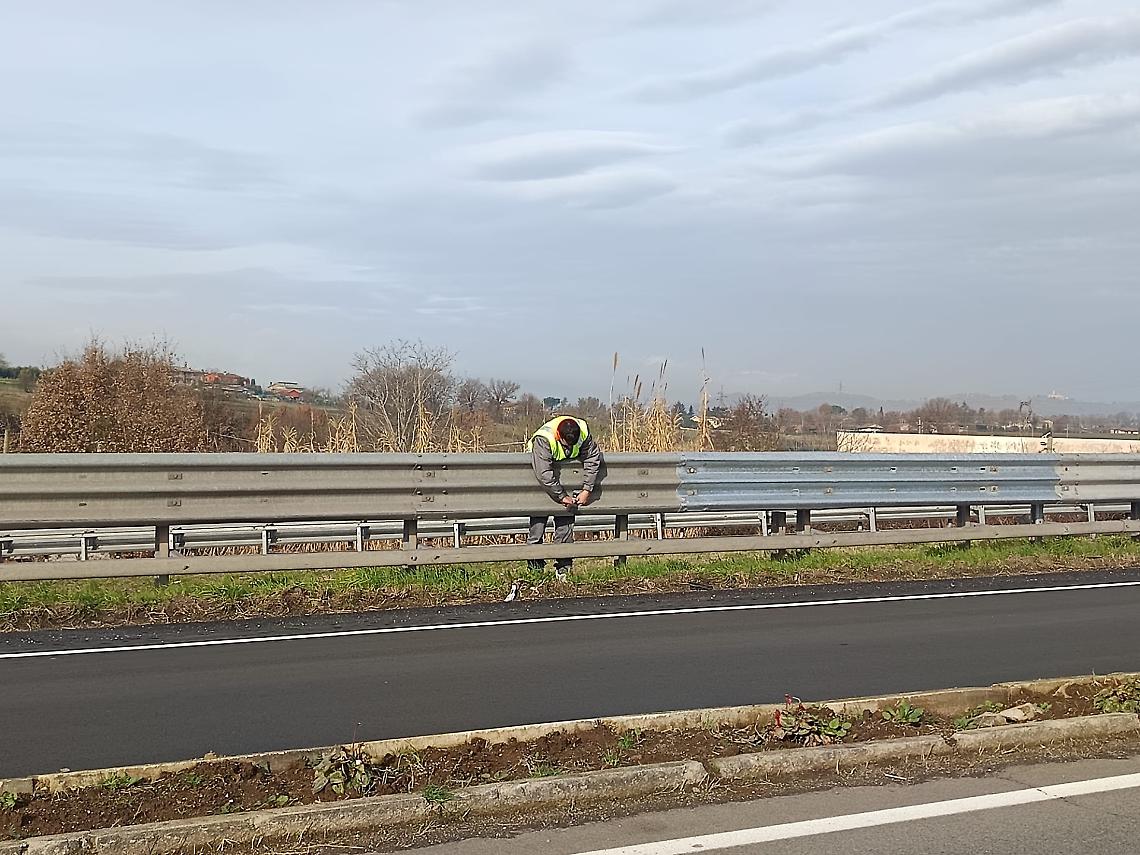 Via Anticolana G7
