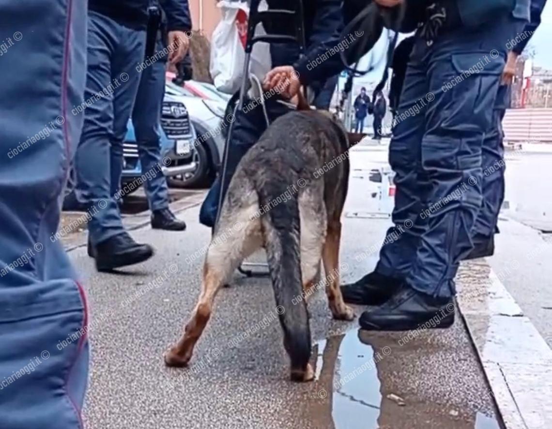 Controlli interforze allo "Scalo", disposti 4 ordini di allontanamento