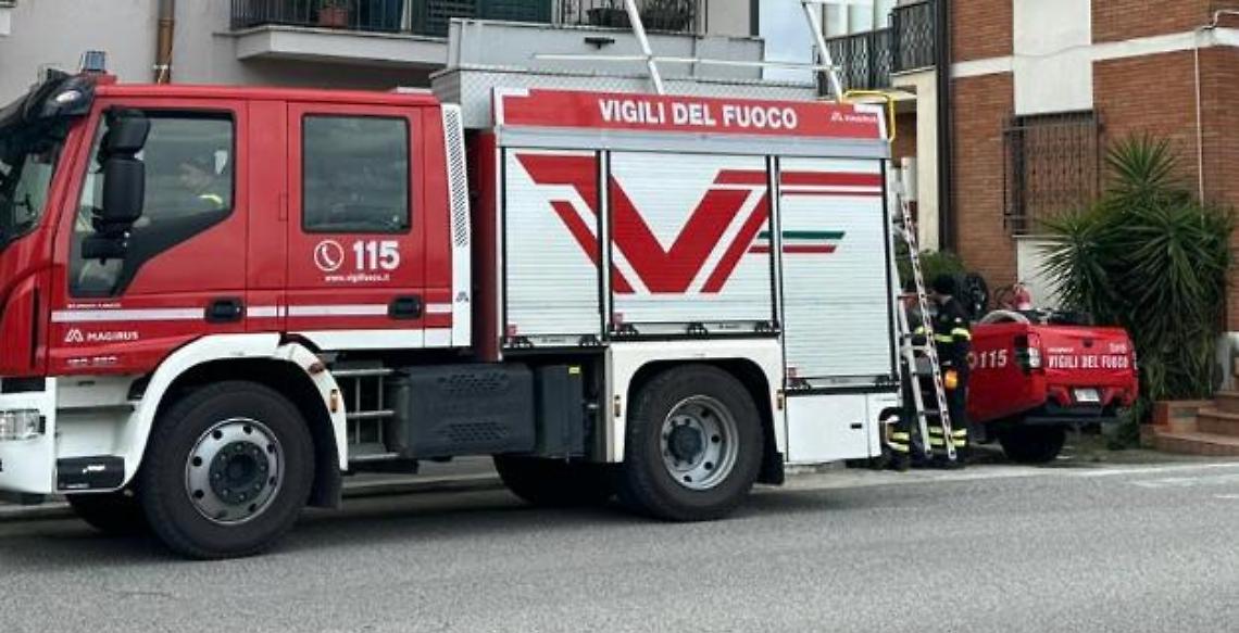 Cane su un tetto, arrivano i vigili del fuoco