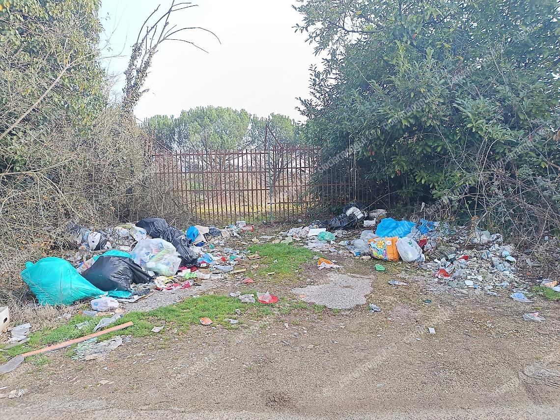 Strada provinciale 118: i rifiuti tornano a ricoprire l'area