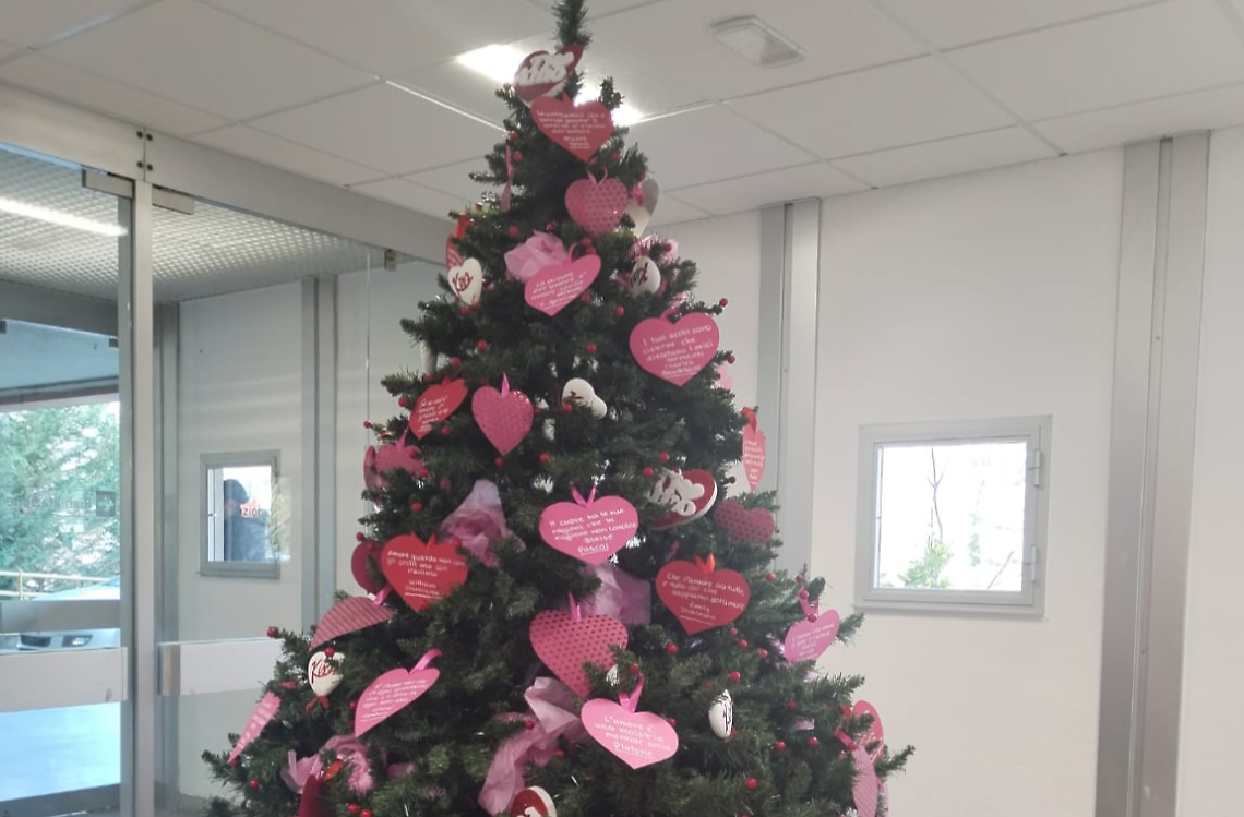 All'ospedale Santissima Trinità un albero che parla d'amore