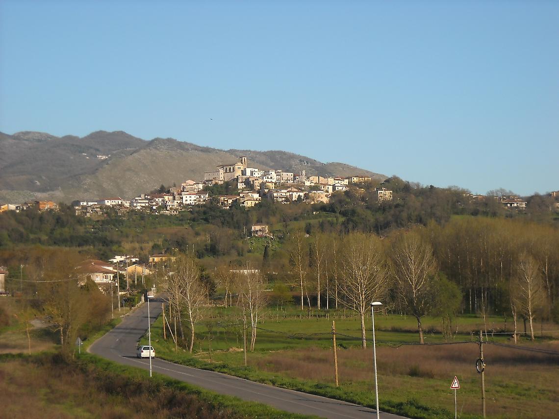 Inseguita da un lupo, è allarme