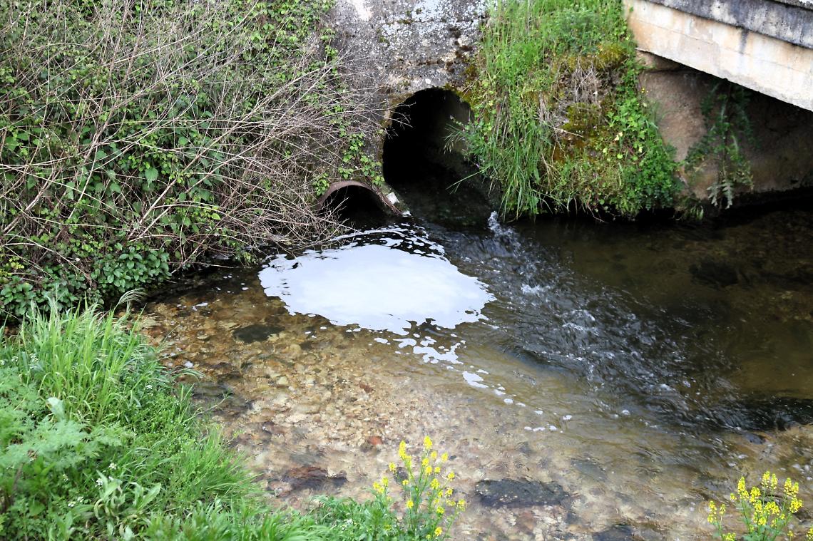 Schiuma bianca nel depuratore di Fiuggi