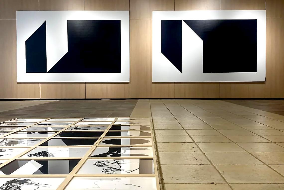 Nuovo appuntamento con l'arte a Unicas. Timpani presenta “Anticamera”