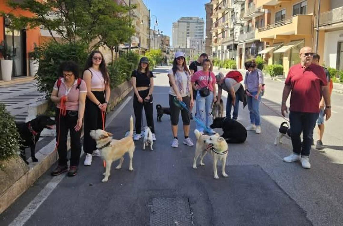 L'11 giugno in Provincia la presentazione del progetto "Cani in città"
