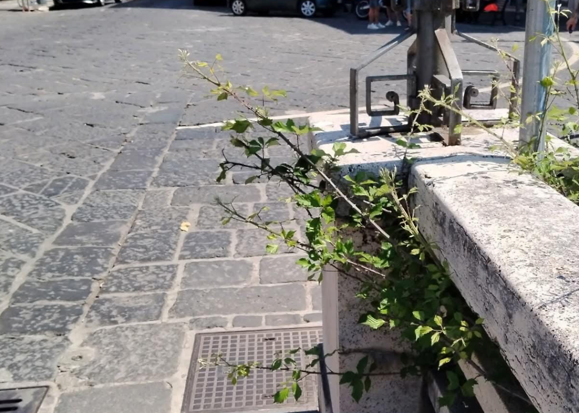 Spine sul ponte di Napoli: cittadini preoccupati