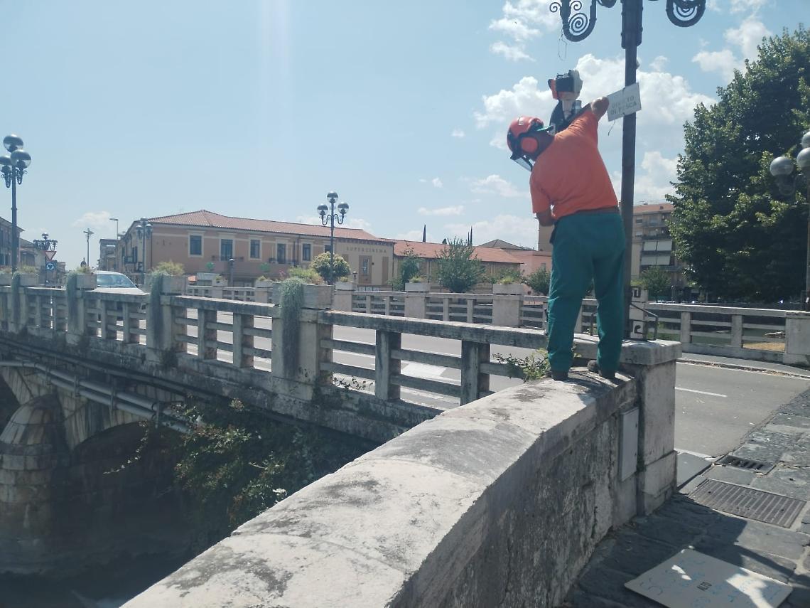 Volontario taglia le spine sul ponte di Napoli