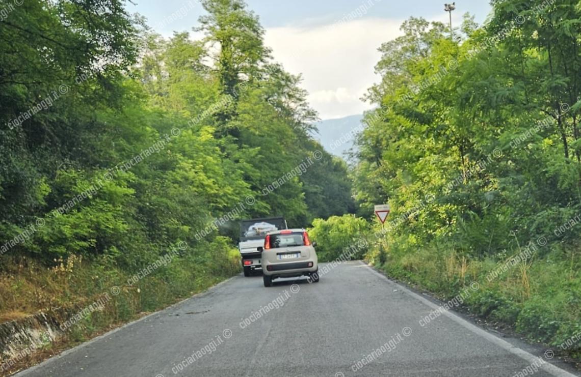 Cade un albero lungo la superstrada Sora-Cassino