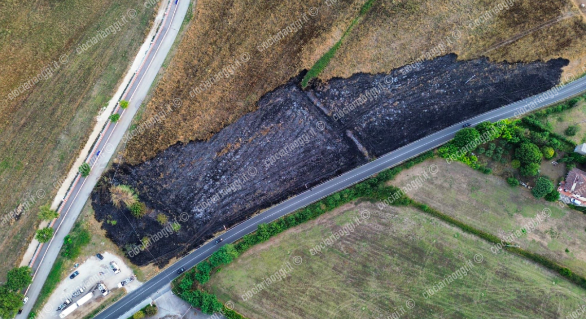 Incendi, caccia aperta ai piromani. L’ipotesi di un’azione degli attivisti green