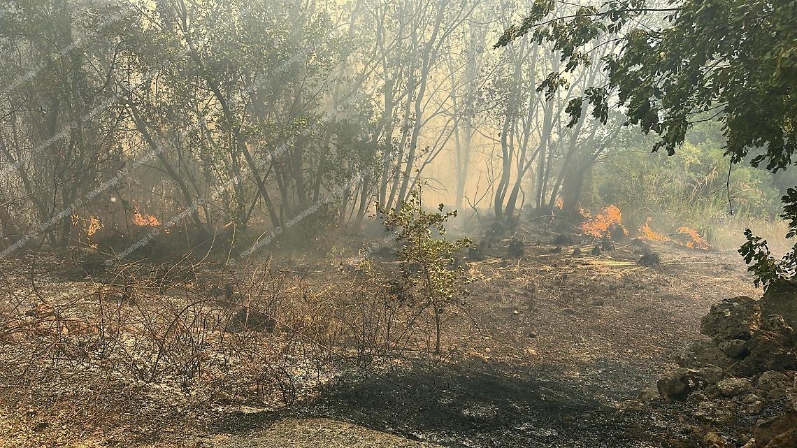 Incendi, territorio sotto attacco. Ettari di vegetazione in fumo e case lambite dalle fiamme