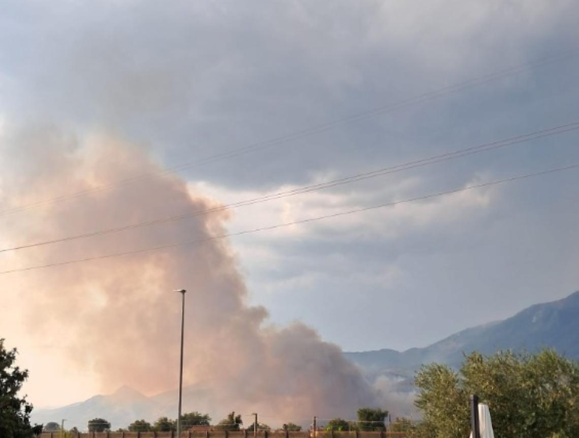 Maxi incendio: operazioni di spegnimento senza sosta